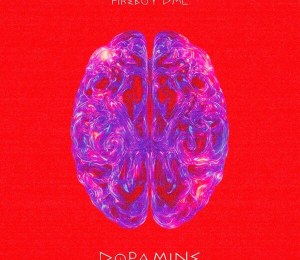 Fireboy DML – Dopamine